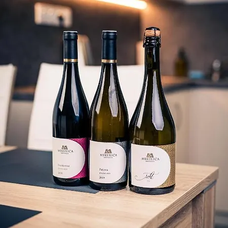 Vinarstvi Mikulica Affittacamere Velké Pavlovice