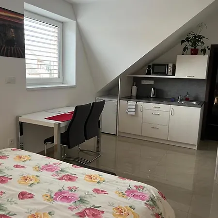 Vinarstvi Mikulica Πανσιόν Velké Pavlovice